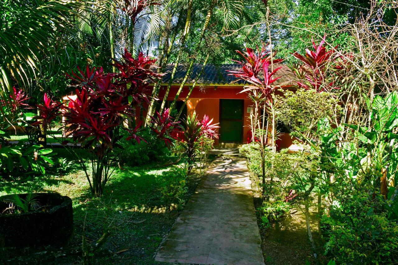 Cesar'S Tropical Hotel 图纳里镇 外观 照片